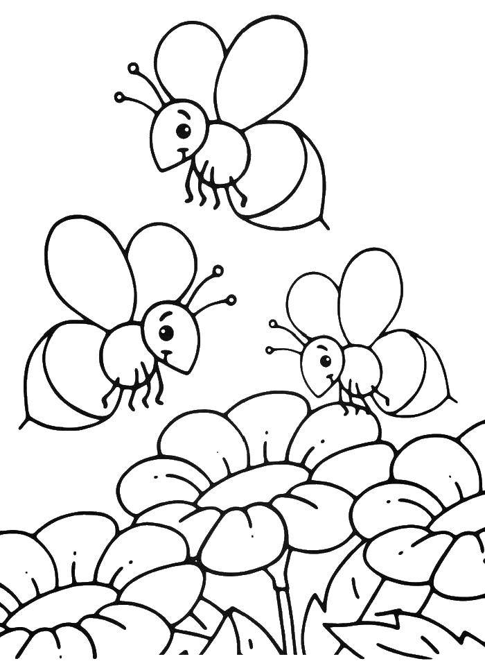   Пчелы собирают нектар