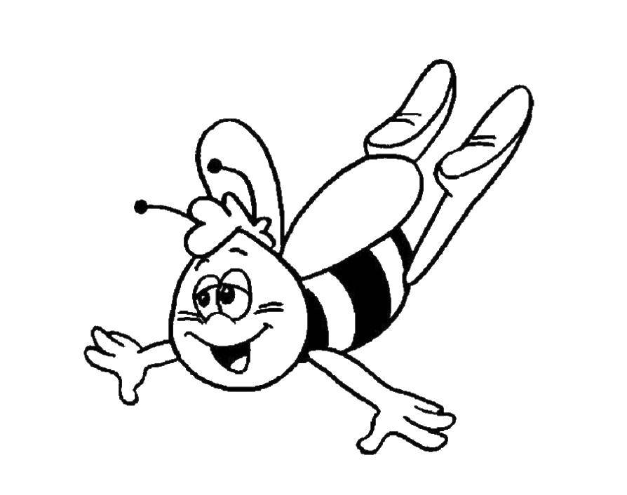   Пчела вилли