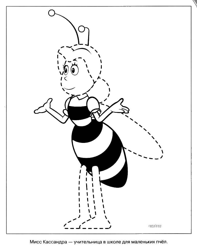   Учительница пчела мисс кассандра