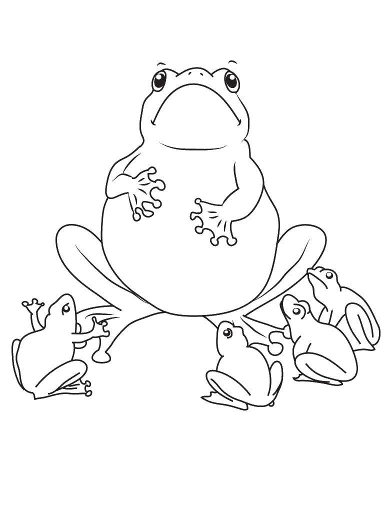 Раскраски лягушки, жабы  Жаба с лягушатами