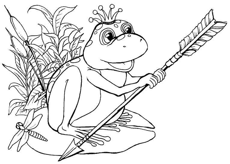 Раскраски лягушки, жабы  Царевна лягушка