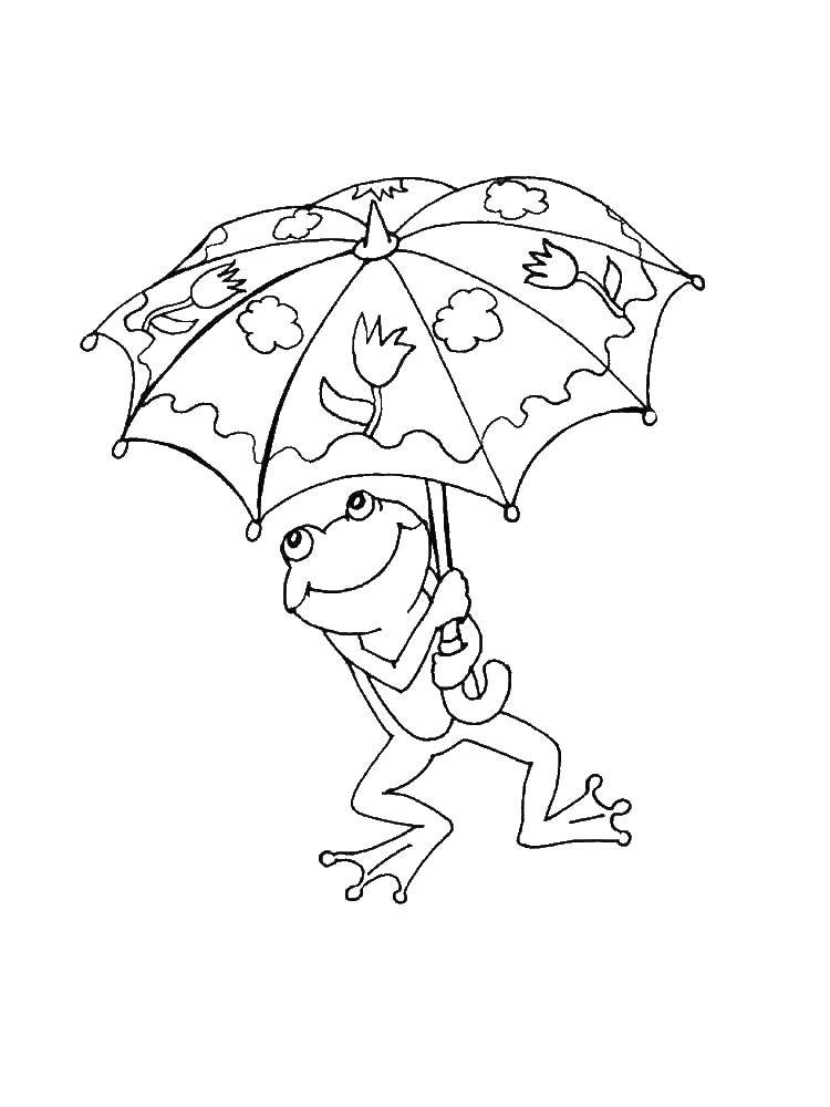 Раскраски лягушки, жабы  Лягушка под зонтом