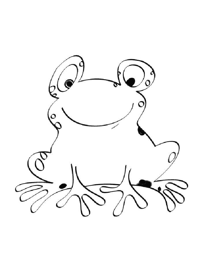 Раскраски лягушки, жабы  Милый лягушонок