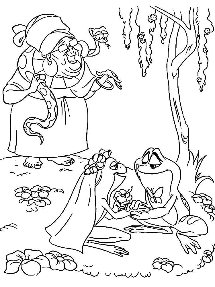 Раскраски лягушки, жабы  Принцесса и принц лягушка