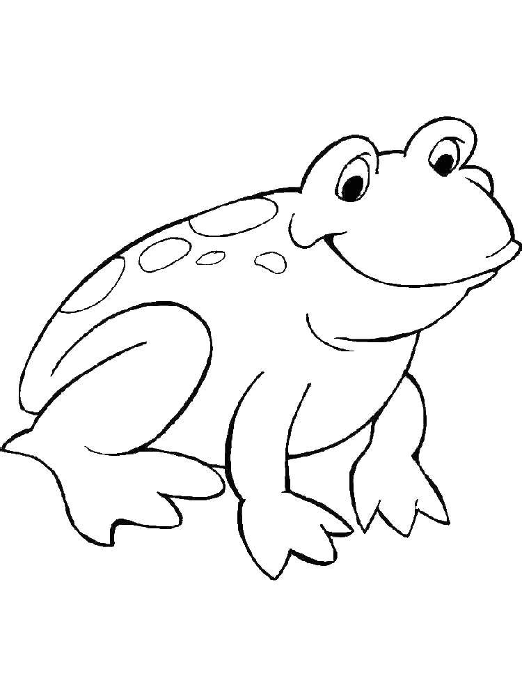 Раскраски лягушки, жабы  Пятнистая лягушка