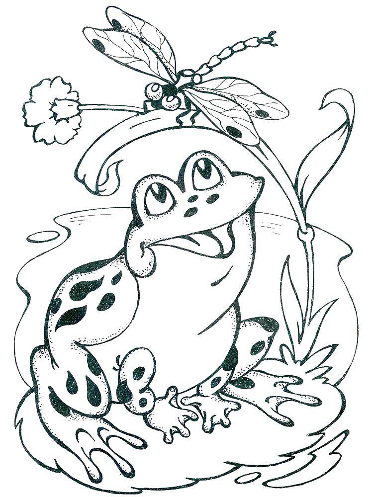 Раскраска лягушка | Раскраски для детей: 25 разукрашек