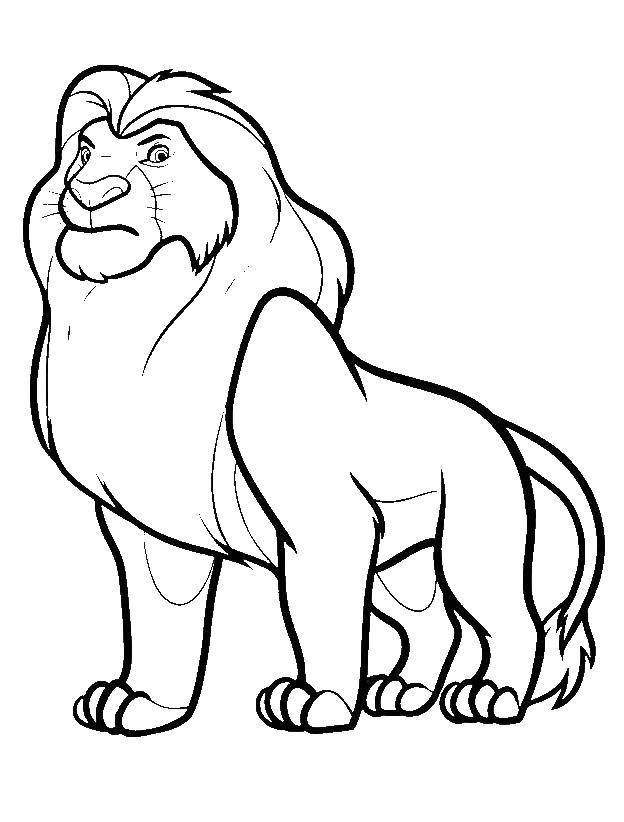 Раскраски лев, львы, львицы, львенок  Король лев симба