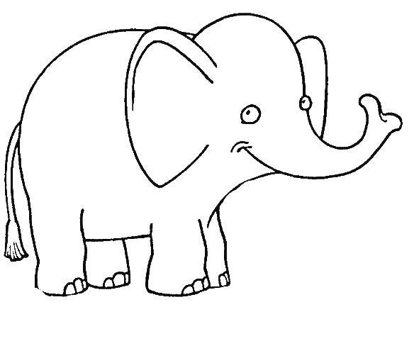   Слоненок