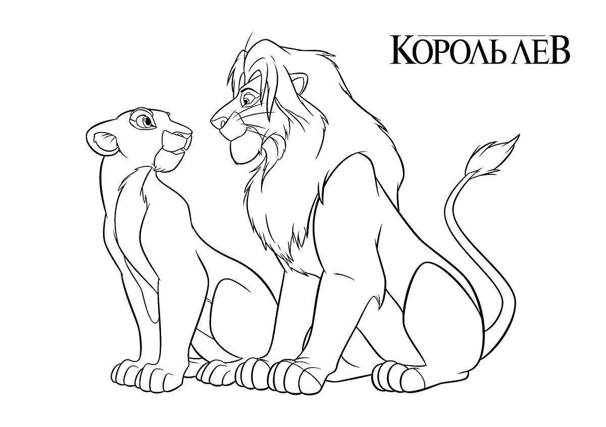 Раскраски лев, львы, львицы, львенок  Мультфильм король лев