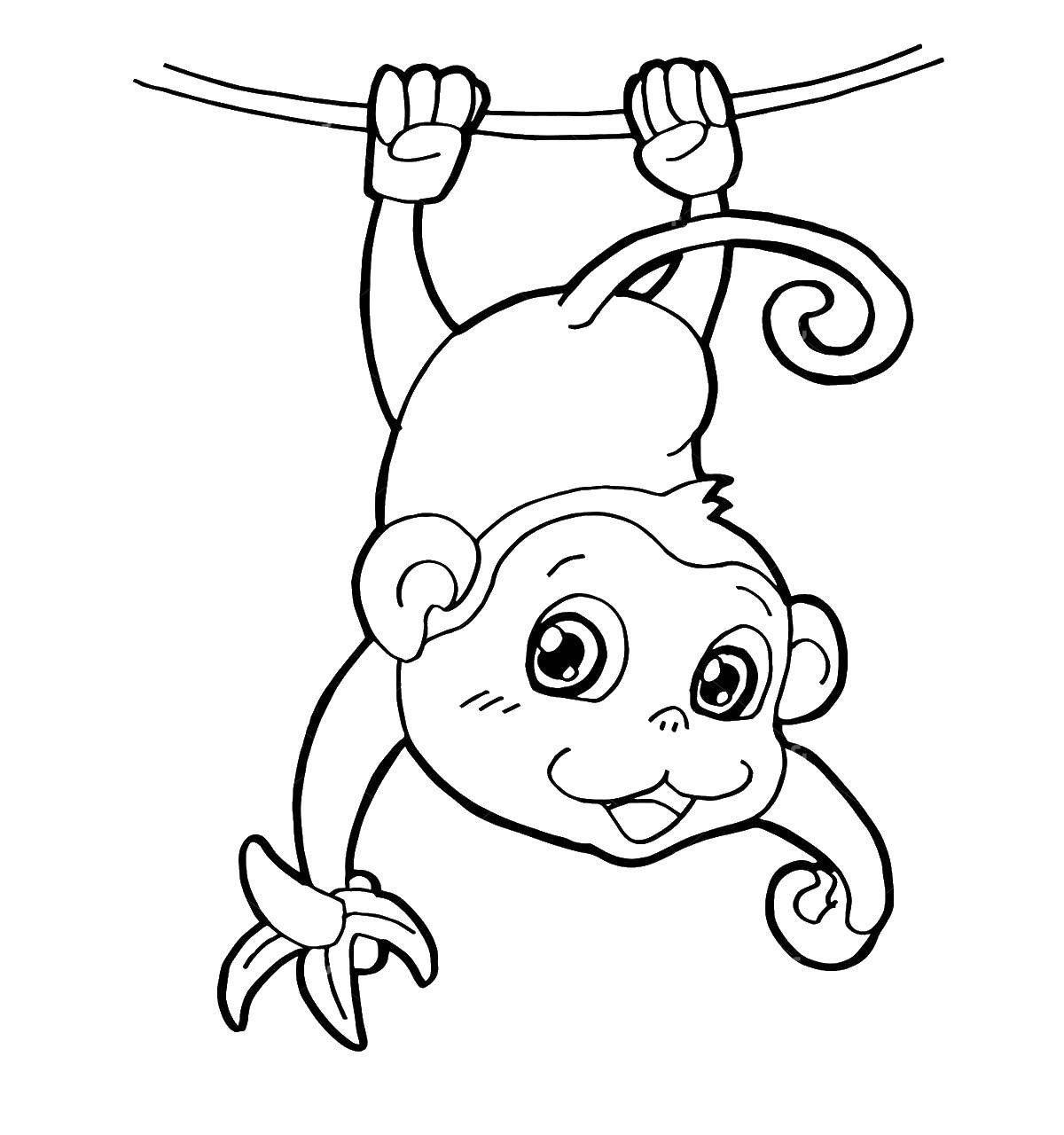 Раскраска веселая обезьяна с бананом 😻 распечатать бесплатно