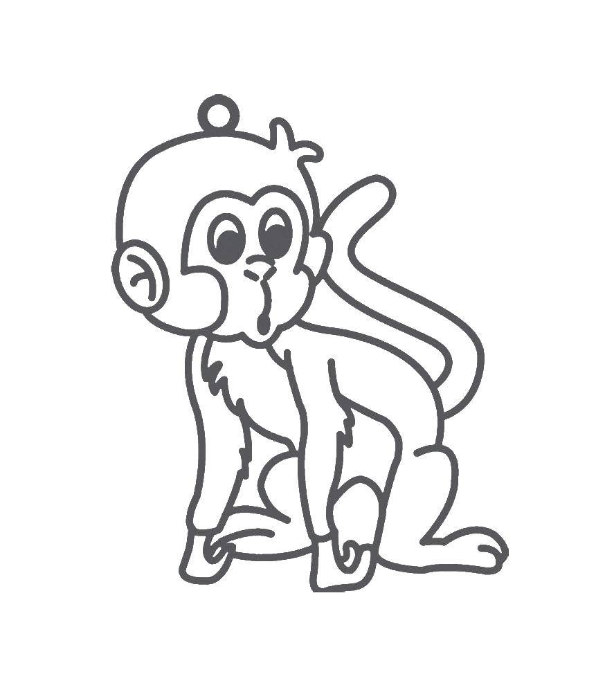 Распечатать раскраски обезьянок. Раскраска обезьяна для детей