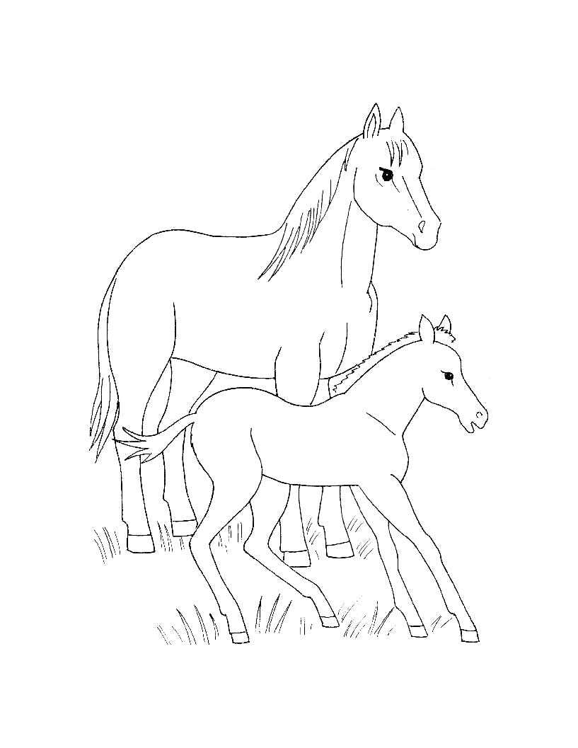   Лошадь с жеребенком на травке