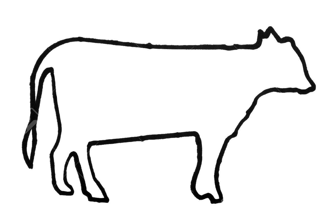 Раскраски домашняя корова  Контур коровы