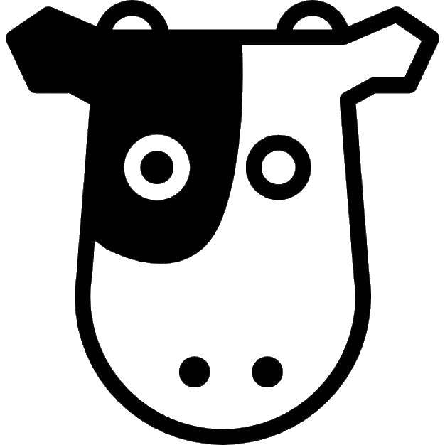 Раскраски домашняя корова  Корова
