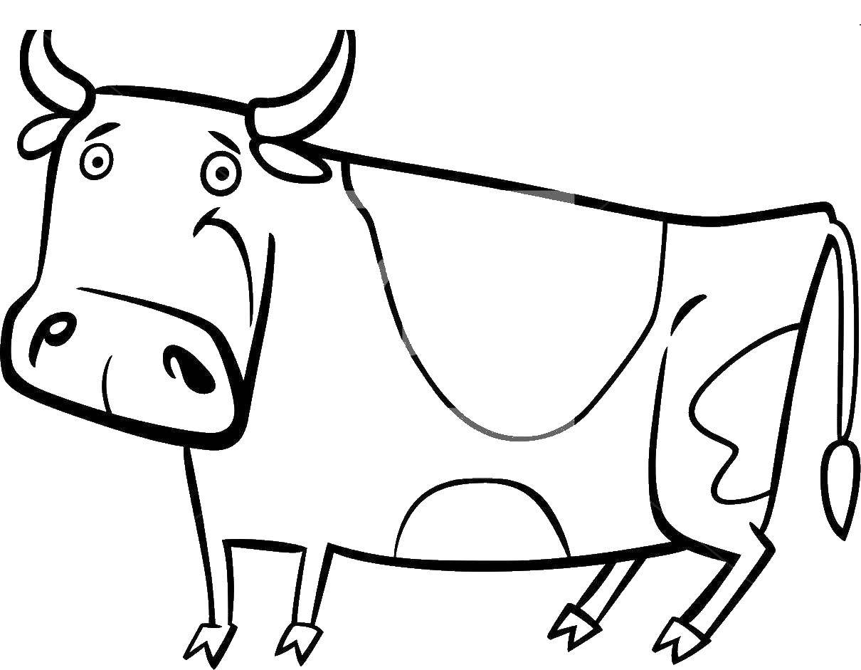 Раскраски домашняя корова  Милая коровка