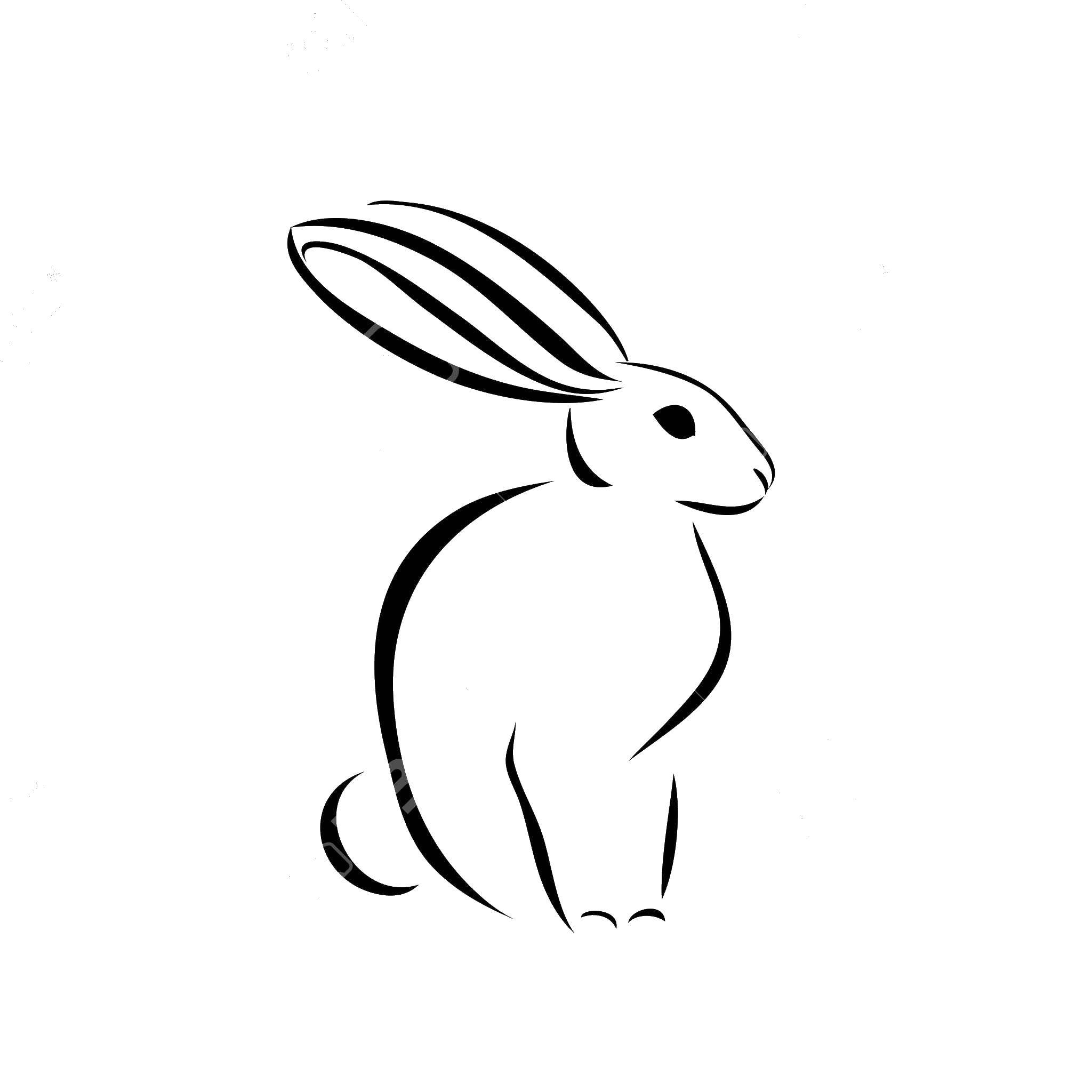 Раскраски зайцы  Кролик