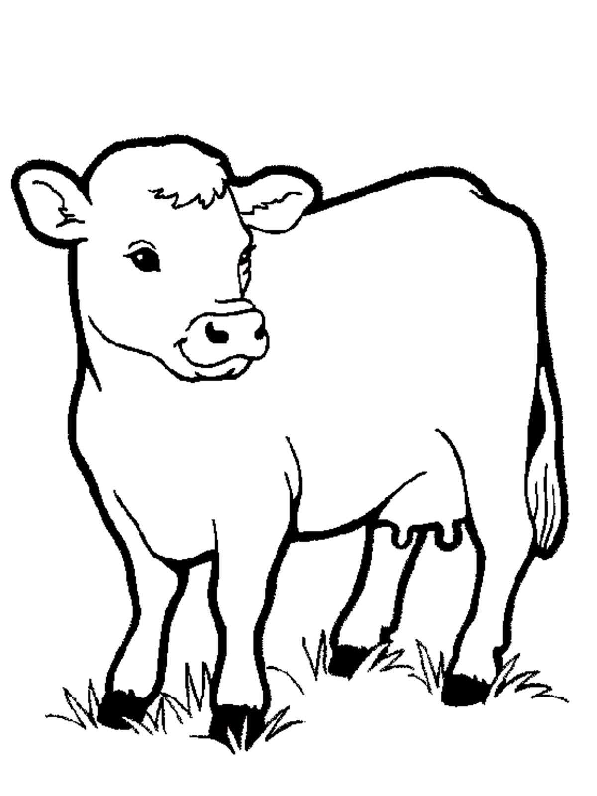 Раскраски домашняя корова  Корова на лугу