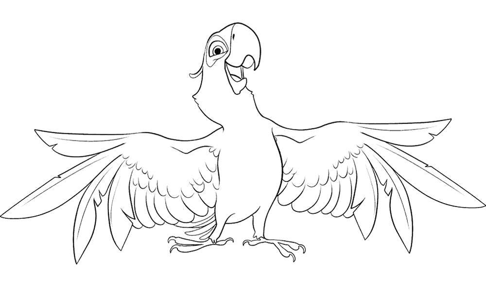 Раскраска попугай  Счастливый попугай