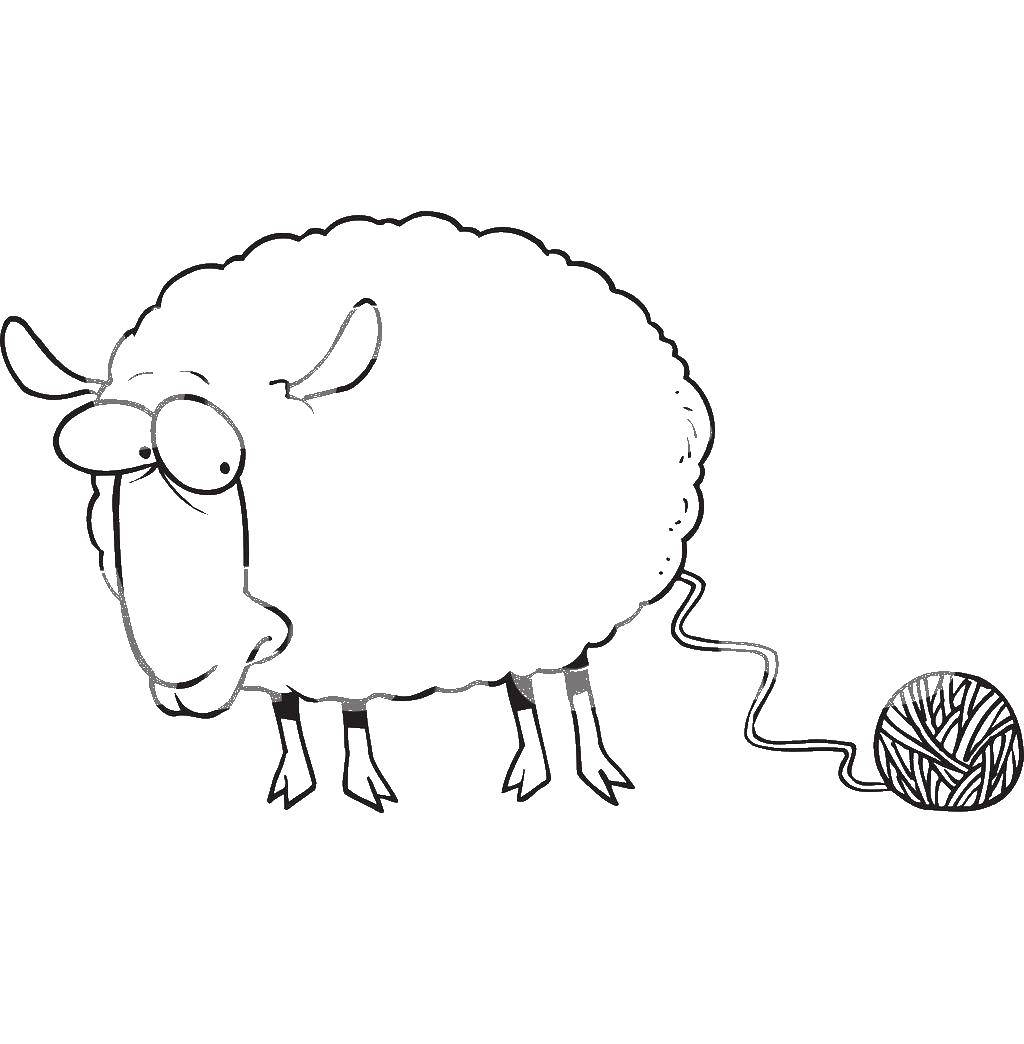 Раскраски овечки, бараны, ягнята  Овечка с клубочокм