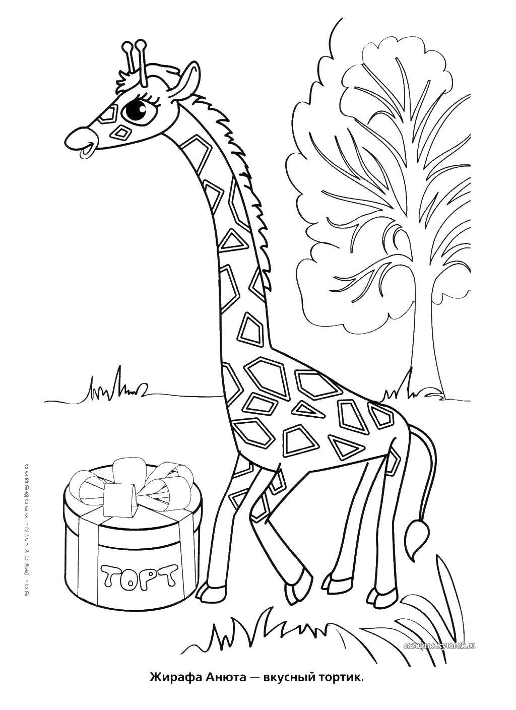 Раскраски жираф  Жираф анюта