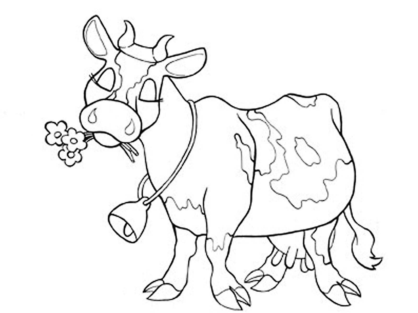 Раскраски домашняя корова  Корова с колокольчиком жует цветочки