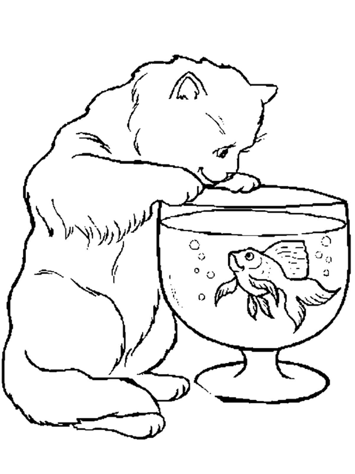   Кошка с рыбкой в аквариуме