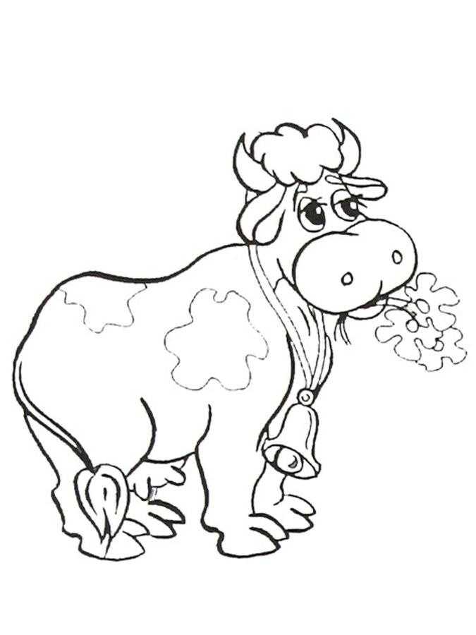 Раскраски домашняя корова  Корова с колокольчиком жует цветочки