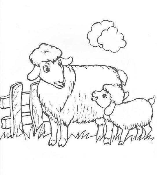 Раскраски ягнята, барашки, овца  Овца с ягненком на ферме