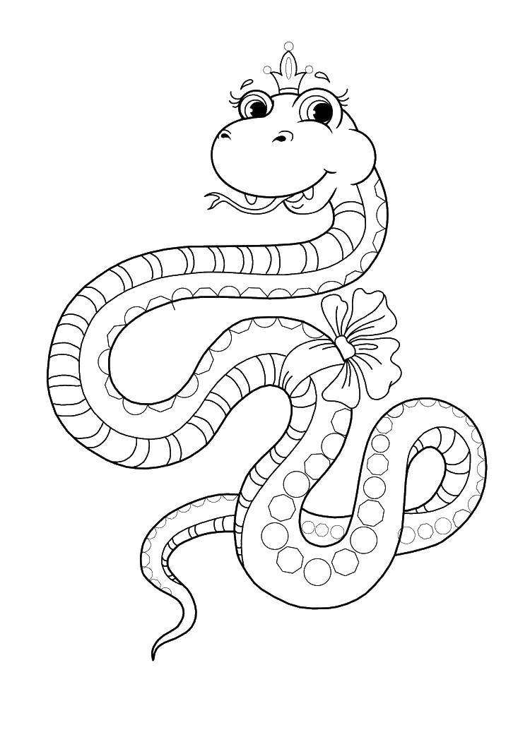 Раскраски змея  Игрушка змея