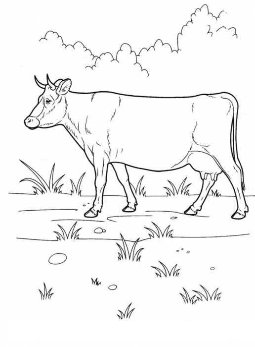 Раскраски домашняя корова  Корова на полянке