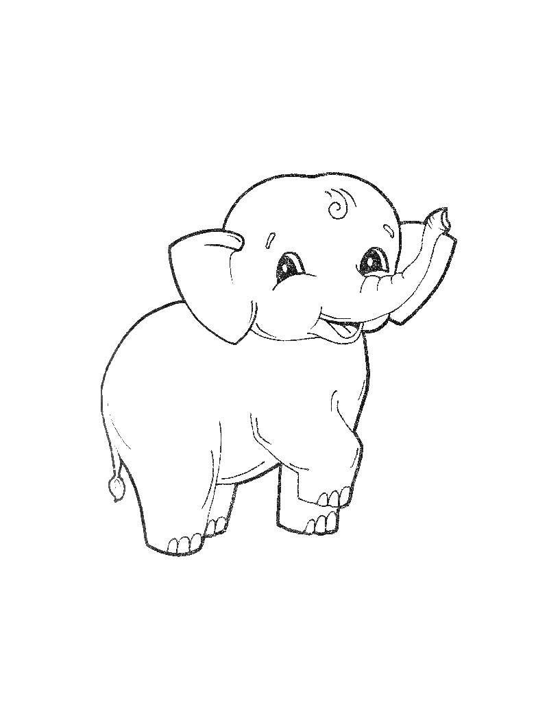   Слон