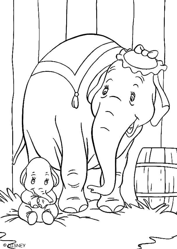   Слоненок дамбо с мамой