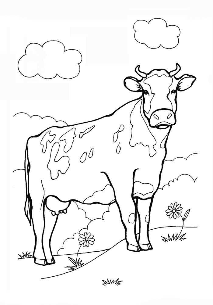 Раскраски домашняя корова  Корова на лугу с цветочками