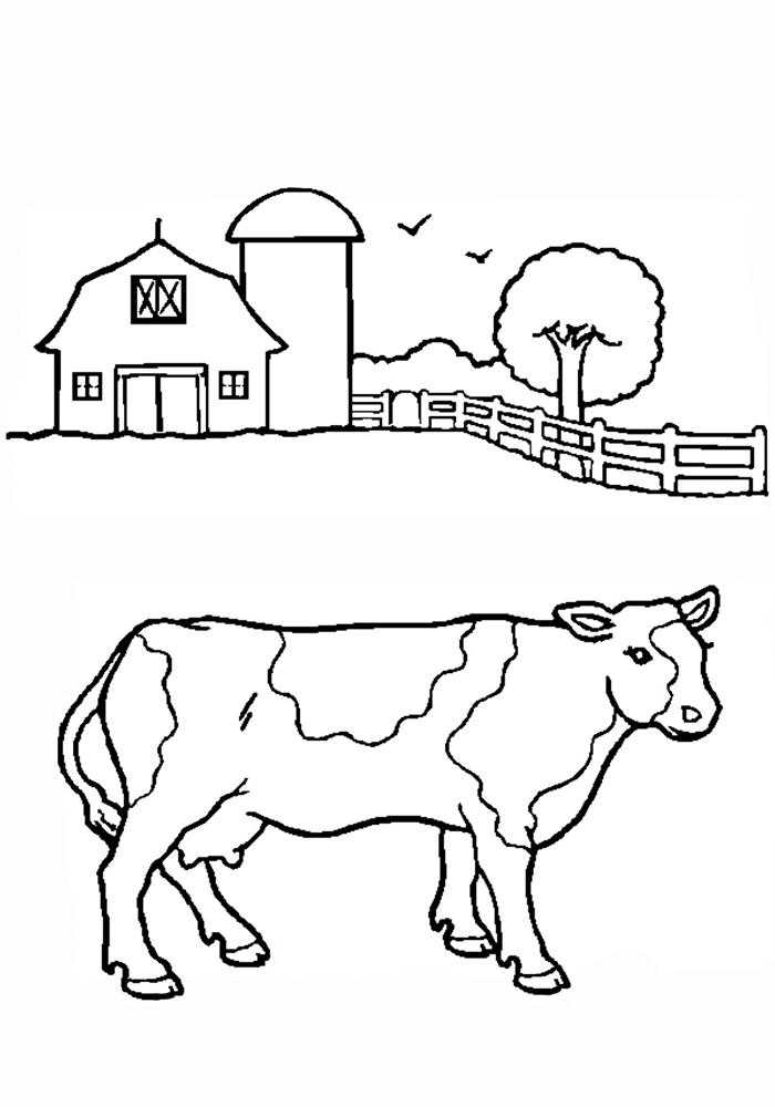 Раскраски домашняя корова  Корова на ферме
