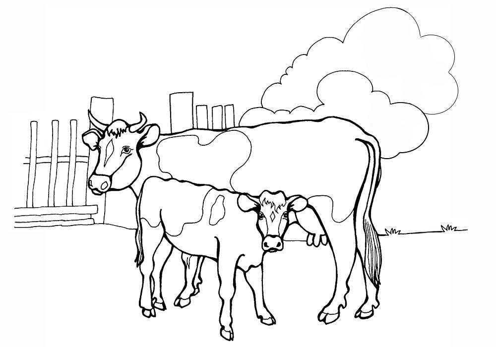 Раскраски домашняя корова  Корова с теленком на ферме