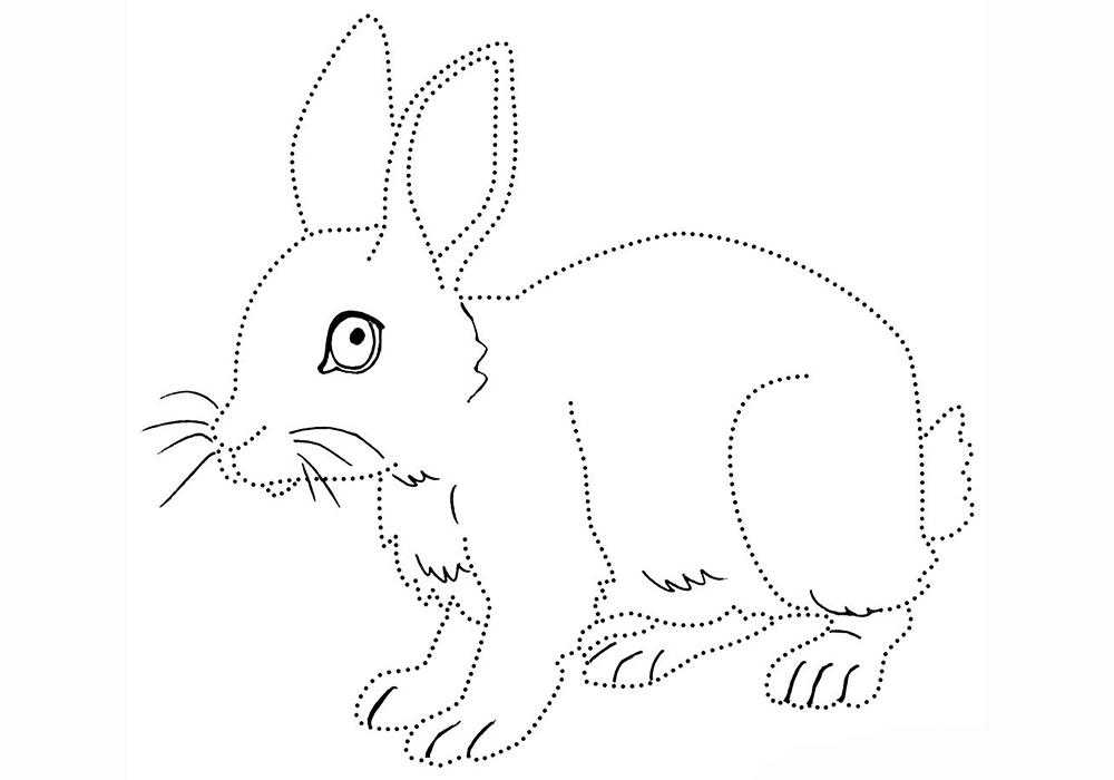  Кролик с точечным контуром