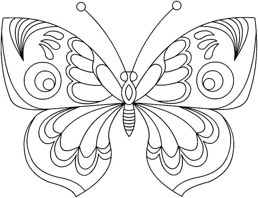   Бабочка