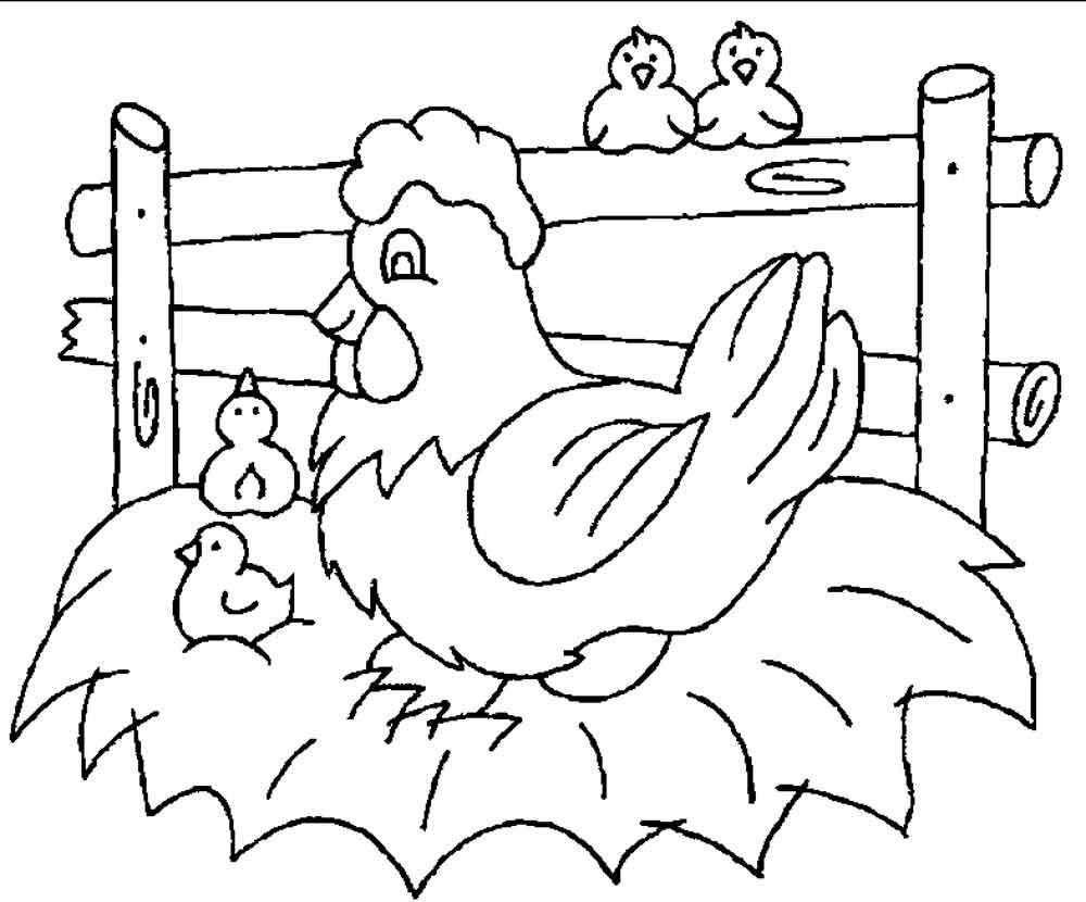   Курица наседка на гнезде с четыремя цыплятами