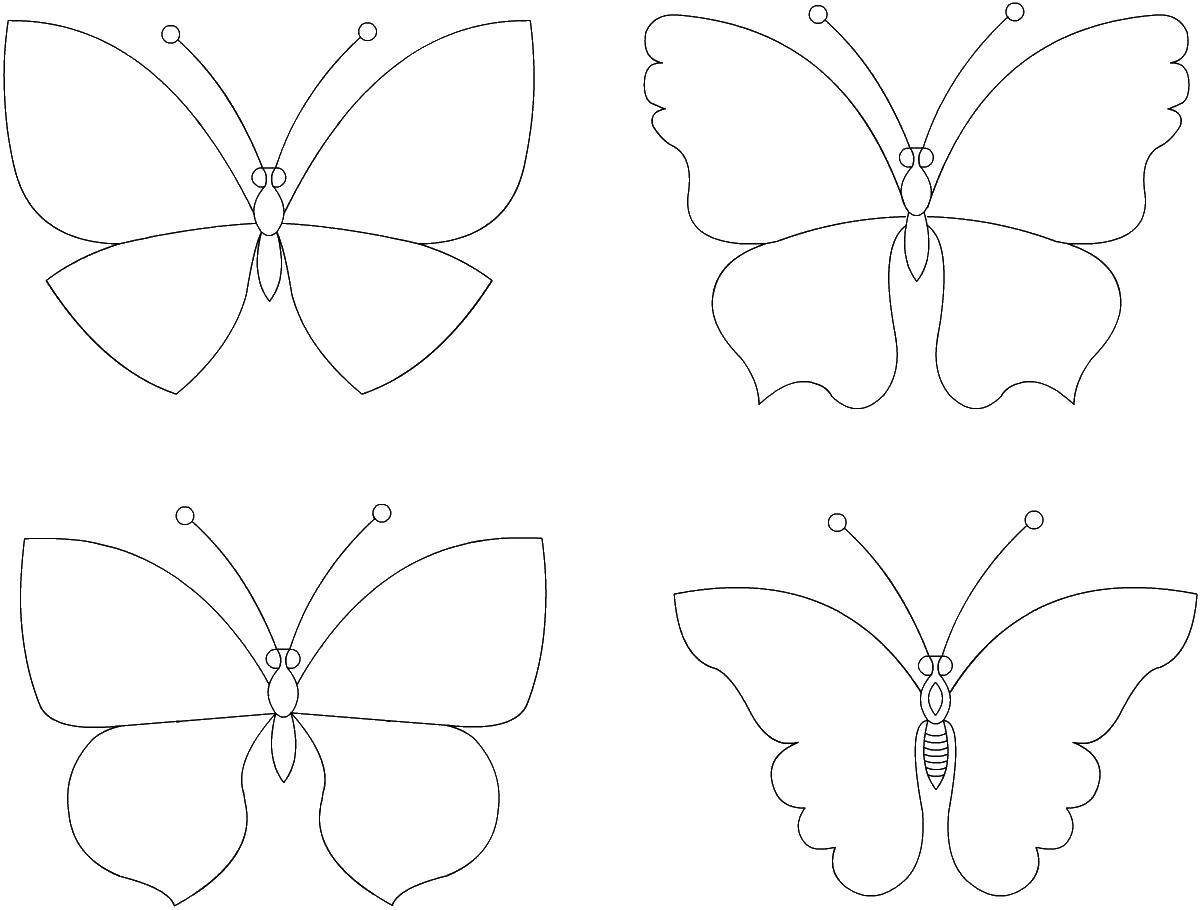   Нарисуй бабочку