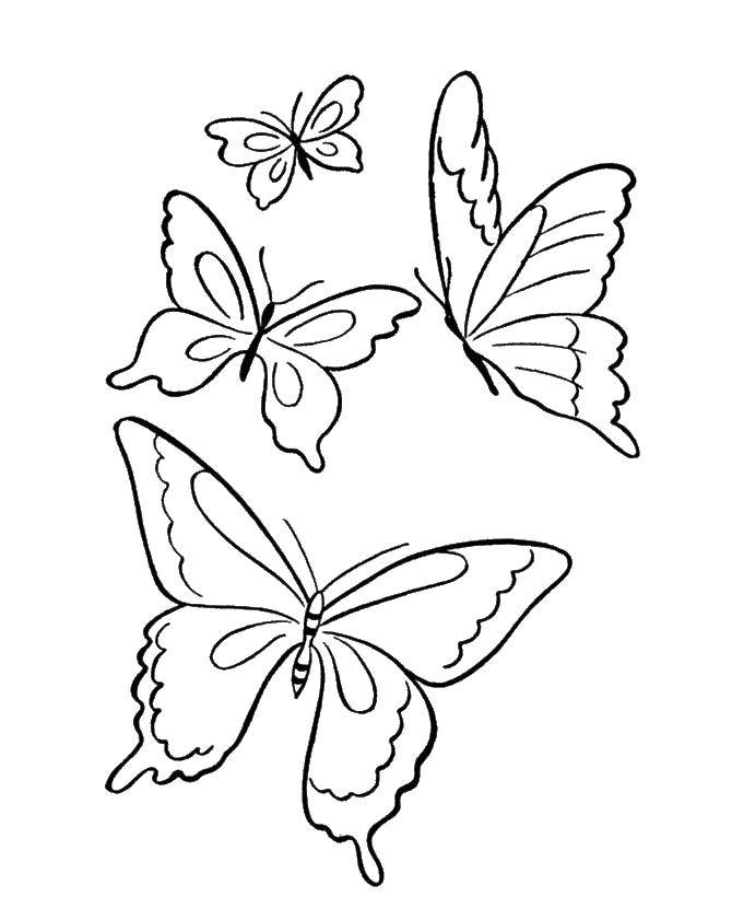   Бабочки