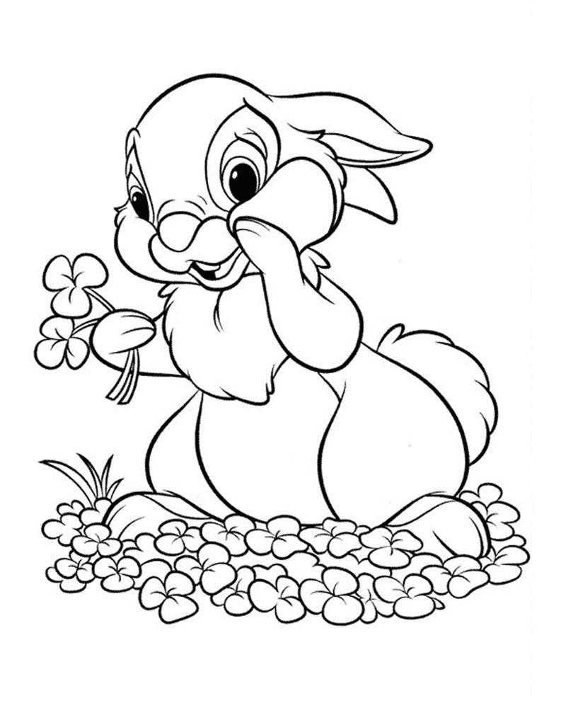 Раскраски зайцы, зайчиха, зайчонок  Заяц собирает цветы