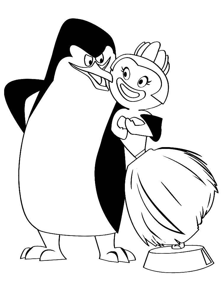 Раскраска с пингвинами  Пингвин рико