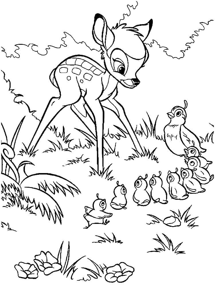   Оленёнок бэмби с птичкой и птенцами в лесу.