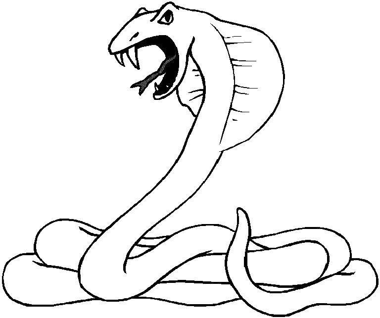Раскраски змея  Кобра