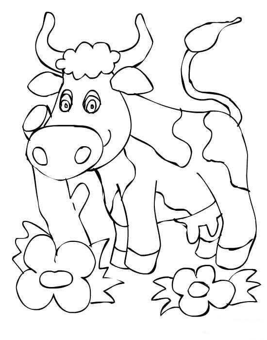 Раскраски домашняя корова  Рисунок корова