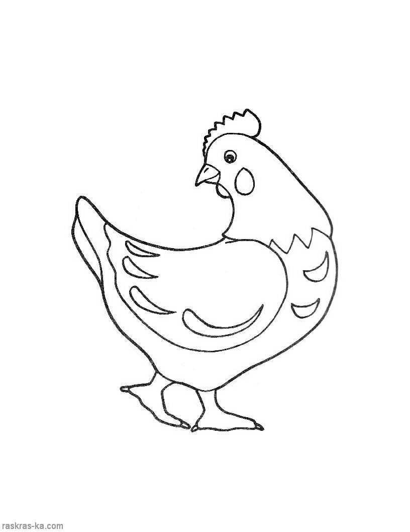   Рисунок курицы