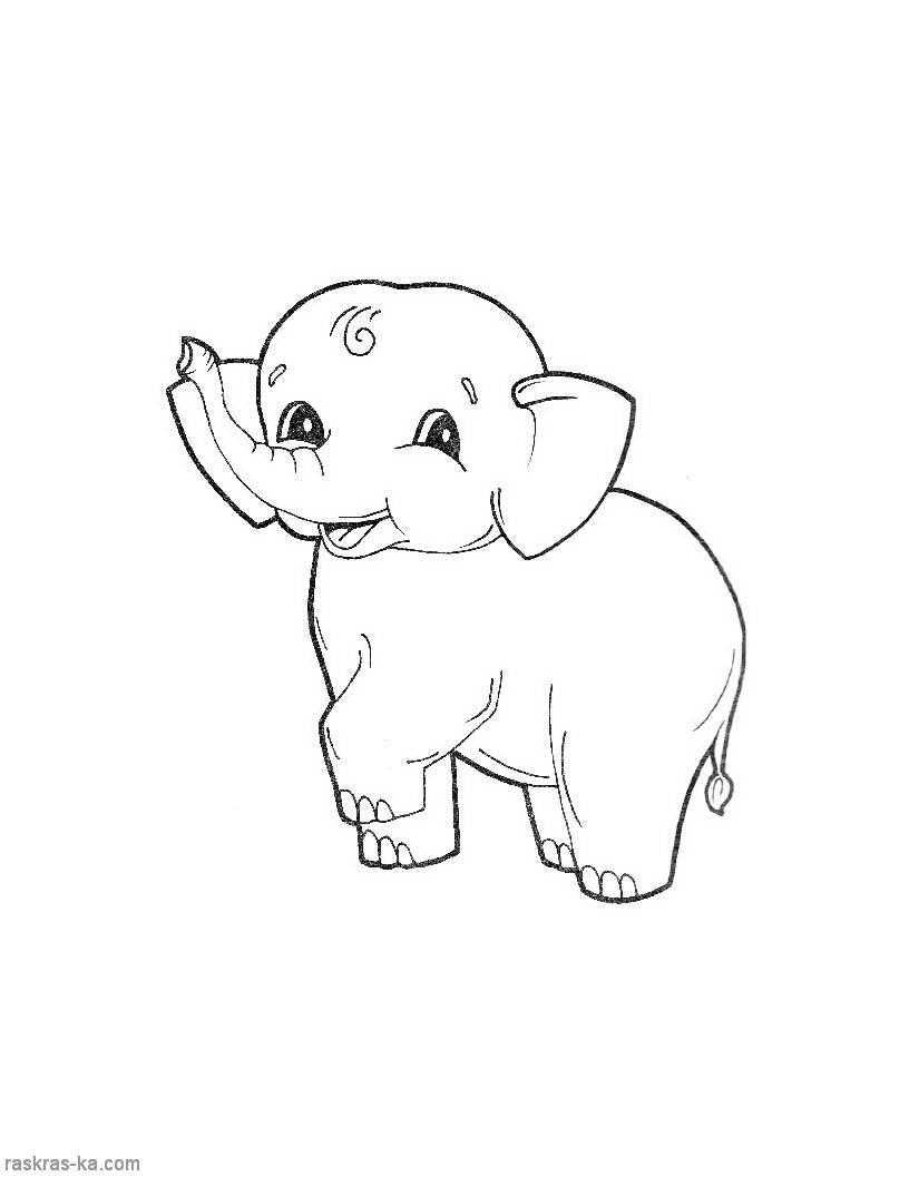  Рисунок слона