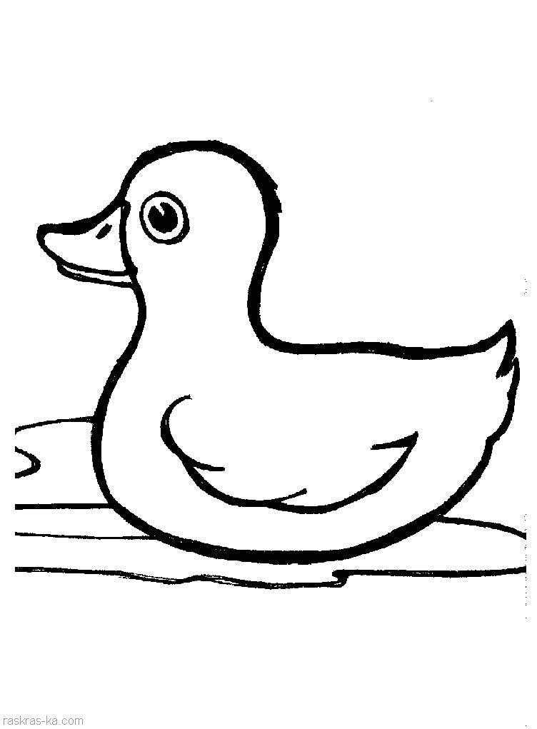   Рисунок  утка