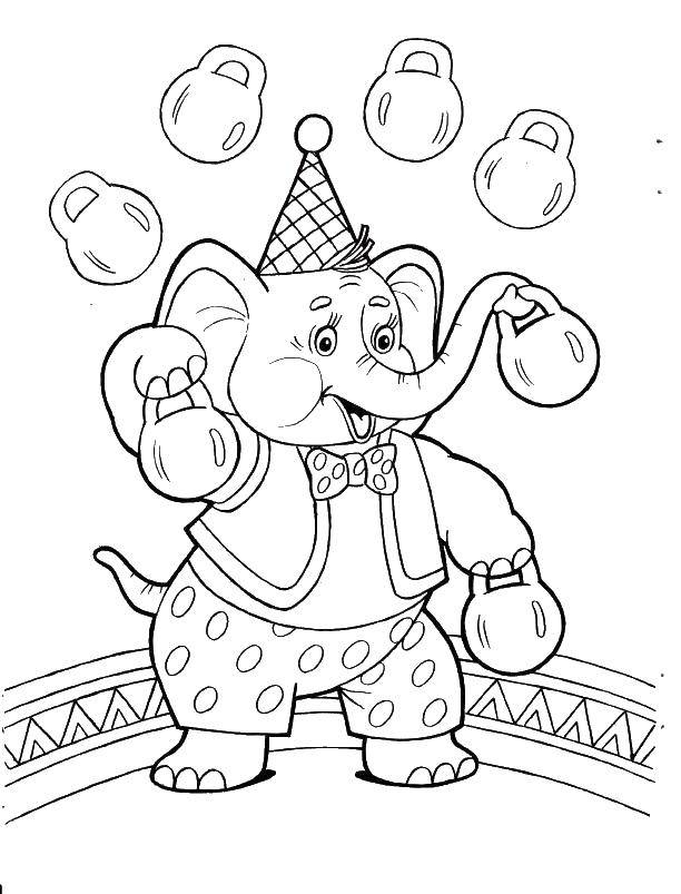   Цирковой слон
