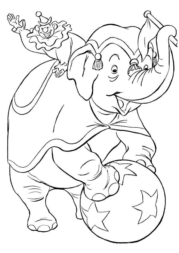   Слон с клоуном